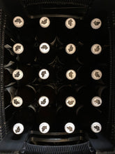 Lade das Bild in den Galerie-Viewer, Bierschnauzer ProBIERpaket 6x Bierdorfer Hell + 6x Bayrisch Pils